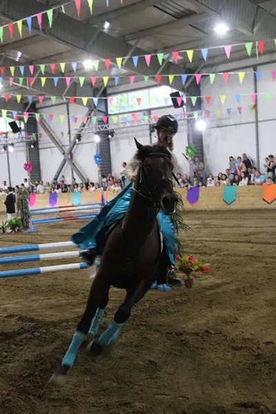 Alice and the Princess Tournament 2018 Alice and the Princess Tournament 2018