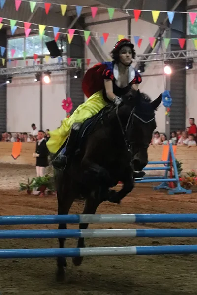 Alice and the Princess Tournament 2018 Alice and the Princess Tournament 2018